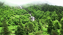 20110610145350(1).JPG