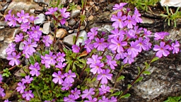 20110610153016(0)DSC00027.JPG
