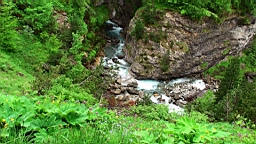 20110610153016(1).JPG