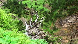 20110610153616(1).JPG