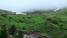 20110610154835(1).JPG