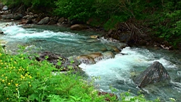 20110610165703(2).JPG