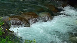 20110610165703(3).JPG