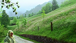 20110610170722(2).JPG