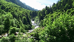 20110611115004(1).JPG