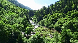 20110611115205(1).JPG