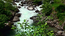 20110611115625(1).JPG