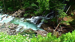 20110611152233(1).JPG