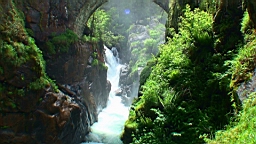 20110611152350(1).JPG
