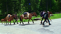 20110611153153(1).JPG