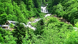 20110611155532(1).JPG