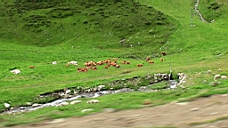 20110612121058(1).JPG