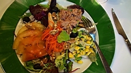 20110614205006(1).JPG