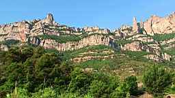 20110615083803(1).JPG