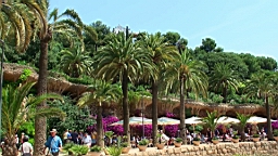 20110615121544(1).JPG