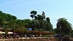 20110615121544(2).JPG