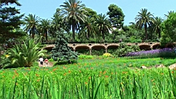 20110615124514(1).JPG