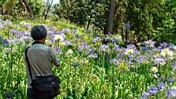 20110615124514(2)DSC00048.JPG
