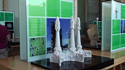 20110615151728(1).jpg