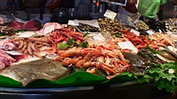 20110617123328(1).JPG