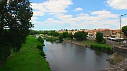 20110619125312(3).JPG