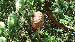 20110620095707(1).JPG