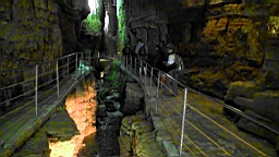 20110620131927(2).JPG