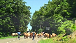20110620151727(1).JPG