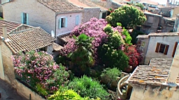 20110621110646(1).JPG
