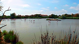 20110621153037(1).JPG