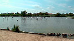 20110621153135(1).JPG