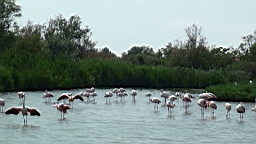 20110621153839(1).JPG