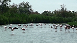 20110621153839(3).JPG