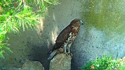20110621160106(1).JPG