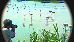 20110621163330(1).JPG