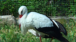 20110621165255(1).JPG