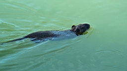 20110621181543(2).JPG