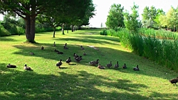 20110621181641(3).JPG