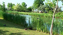 20110621181641(4).JPG