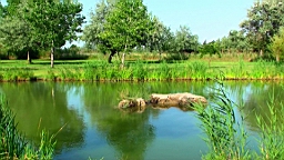 20110621181641(5).JPG