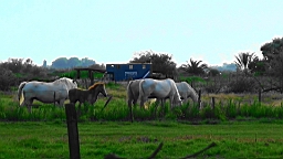 20110621192829(3).JPG