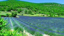 20110625144739(2).JPG