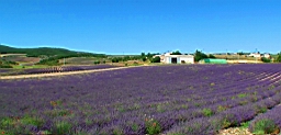 20110625164747(1).JPG