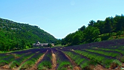20110626153339(1).JPG