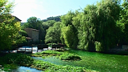 20110626171246(2).jpg