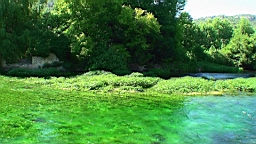 20110626171343(1).JPG