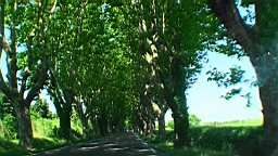 20110627105758(1).JPG