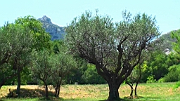 20110627123938(1).JPG