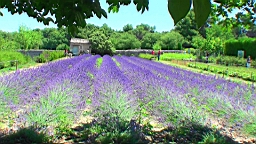 20110627125559(1).JPG