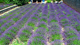 20110627130207(1).JPG